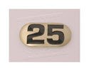 NBR25-Number Plate, Iron DBs 25 lbs