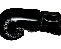 B190-Elite Leather Boxing Gloves 10oz