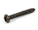 LC691-Mounting Screw 