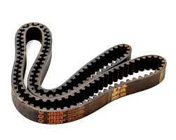 LCIR07-Belt, Lifecircuit 1280-8m-20