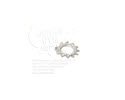 PRBWAMCN025-002-Lock Washer EXT TOOTH, 1/4
