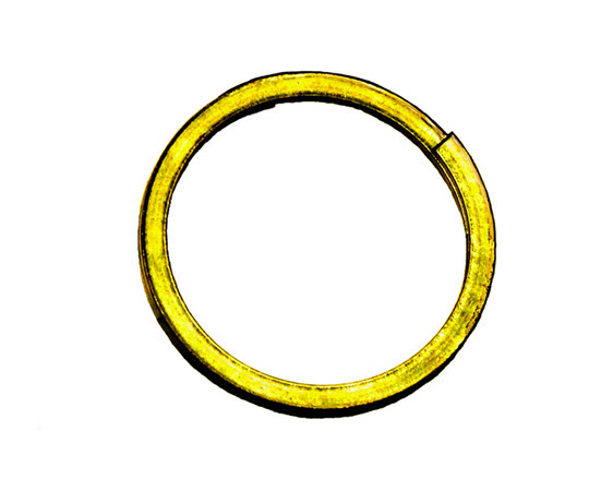 PSP1085-Retaining Ring, 2-Turn, Spiral,SS