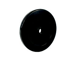 RUB10-Dumbbell Plate,Rubber Encased, 10 Lbs