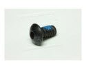 ST110-0130-Screw for Display, Short